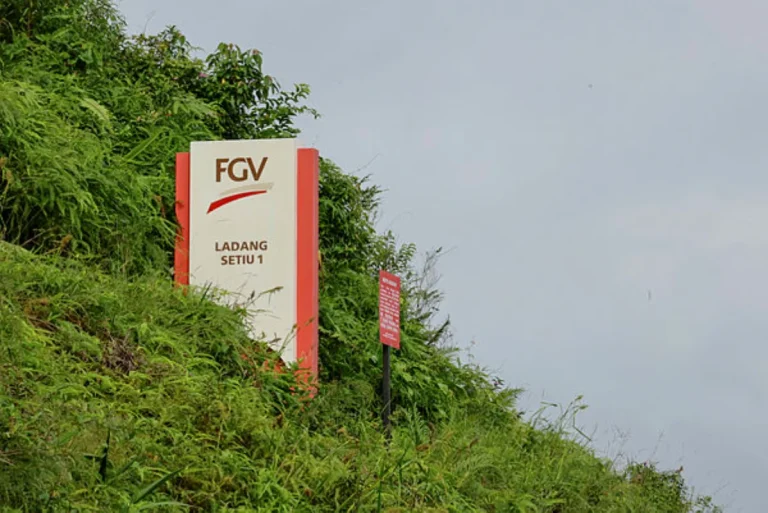Felda and Terengganu resolve decades-long plantation land dispute