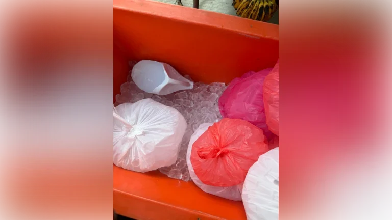 “OMG!”— M’sian shocked as auntie uses DIY bleach bottle as ice scoop, netizens outraged