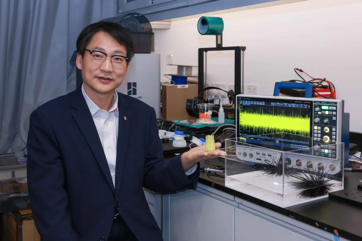 photo-1 PolyU research unveils mechanoelectrical perception in sea urchin spines, empowering next-generation biomimetic sensors