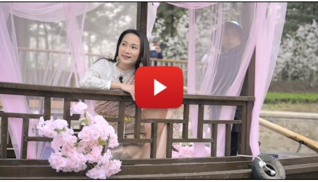 Enchanting journey through Beijing's Chaoyang Garden Festival, where nature meets Oriental romance