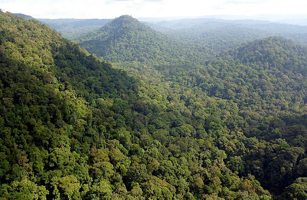 FEA01_071215_ HUTAN SABAH Sabah steps up El Nino preparations and climate action