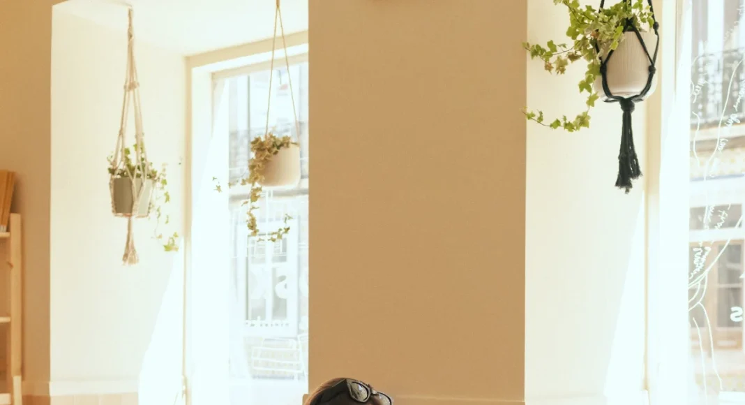 Forget cat-dog cafes, check these 6 quirky pet cafes