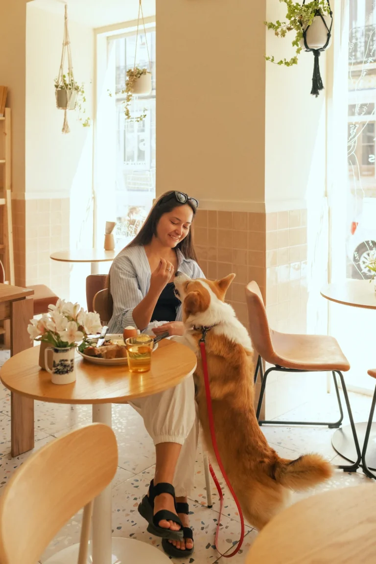 Forget cat-dog cafes, check these 6 quirky pet cafes