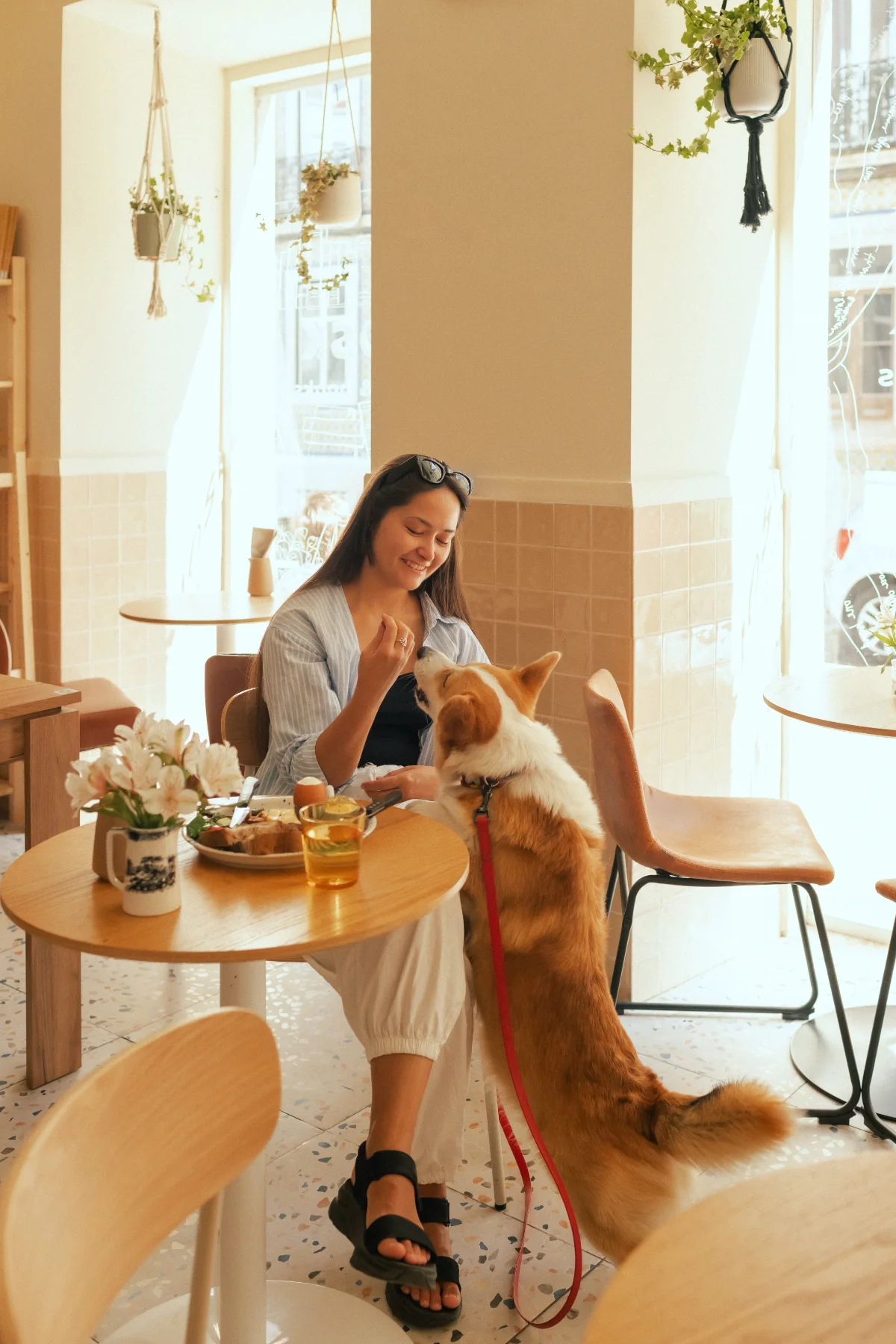 Forget cat-dog cafes, check these 6 quirky pet cafes Forget cat-dog cafes, check these 6 quirky pet cafes