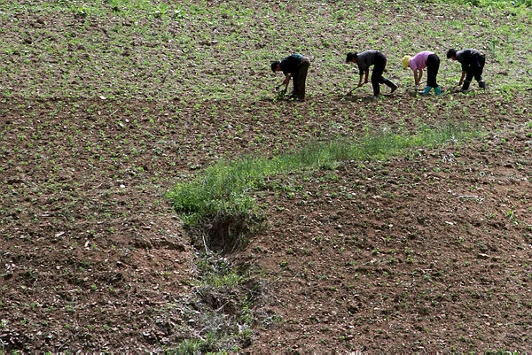 North Korea faces severe drought, state media warns