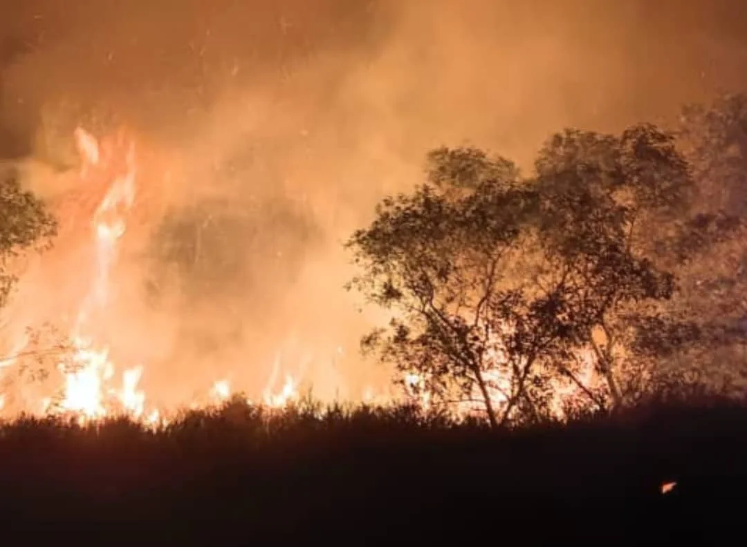 Northern Sarawak wildfires persist into third week as hotspots spread across 11 districts Northern Sarawak wildfires persist into third week as hotspots spread across 11 districts