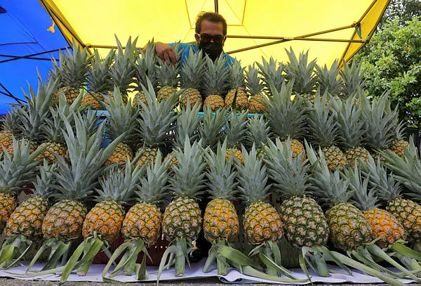 PHOTO OF THE DAY SATURDAY Malaysian pineapple exports unaffected by West Asia crisis