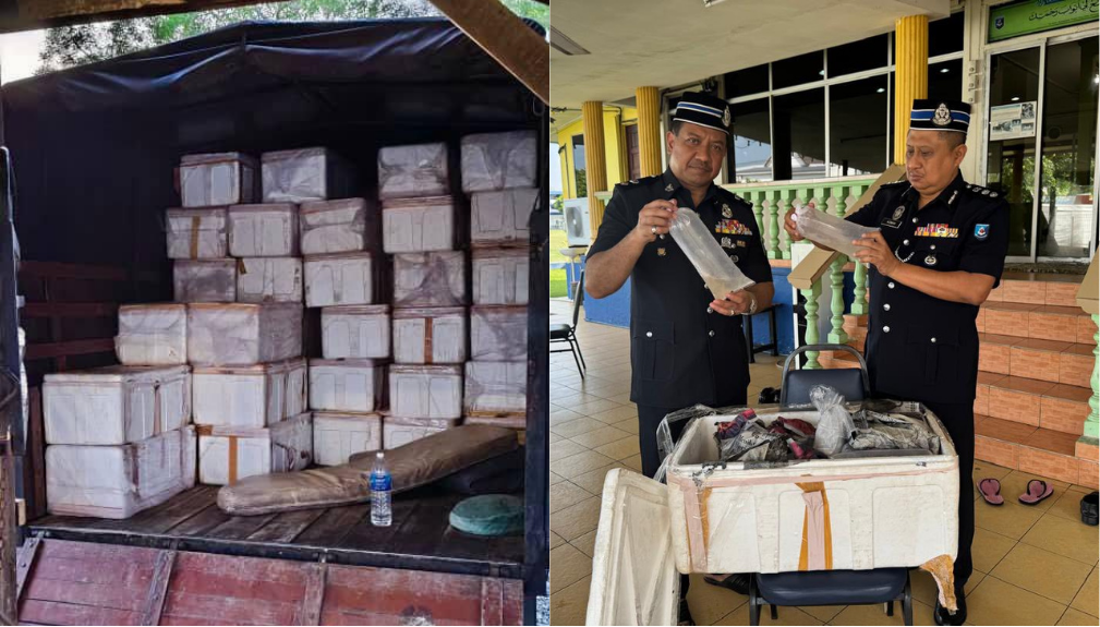 Johor marine police foil RM13m lobster fry smuggling attempt Johor marine police foil RM13m lobster fry smuggling attempt