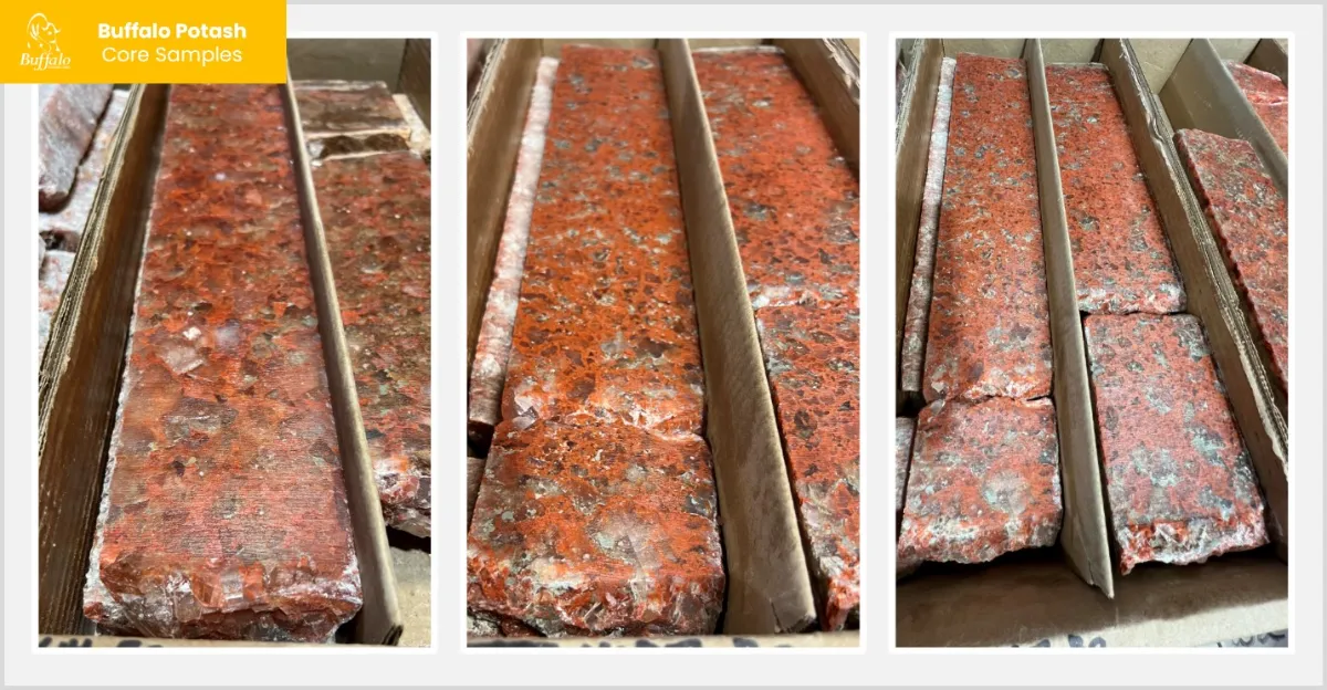 Buffalo Potash Announces Preliminary Economic Assessment for Disley Project with After-Tax NPV of US$1.1B and IRR of 30%; Releases Results from Maiden 43-101 Mineral Resource Estimate Buffalo Potash Announces Preliminary Economic Assessment for Disley Project with After-Tax NPV of US$1.1B and IRR of 30%; Releases Results from Maiden 43-101 Mineral Resource Estimate