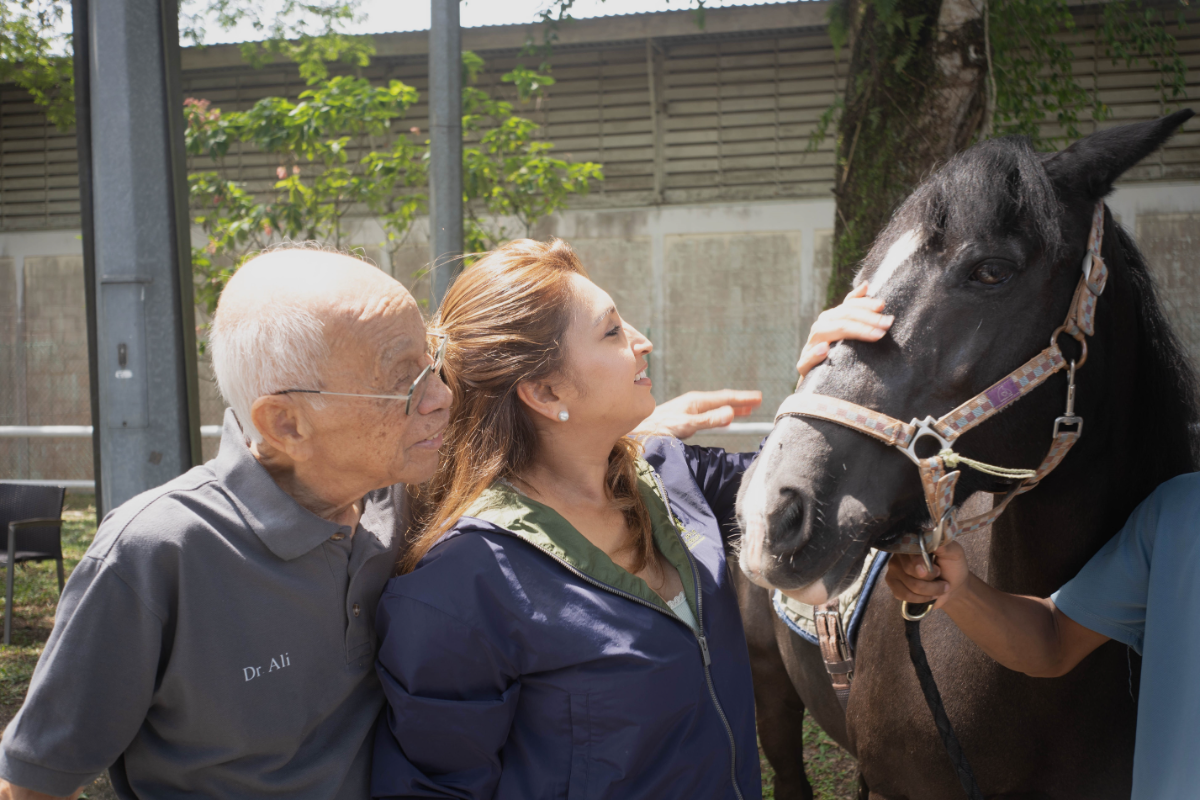 Each horse is trained to remain composed around noise, movement and sudden reactions. 