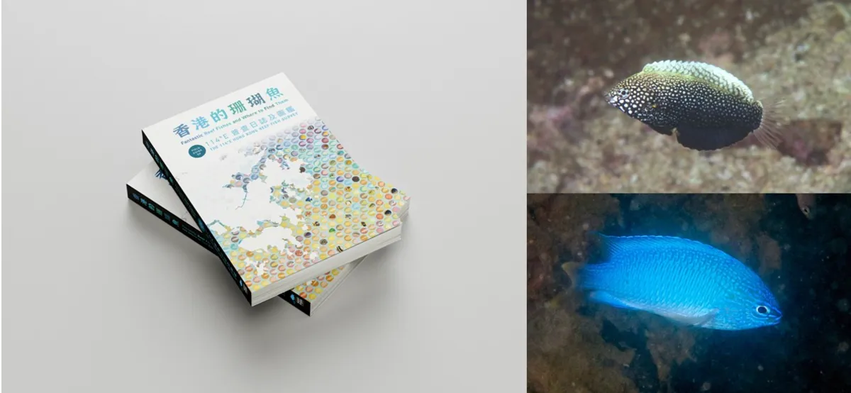 Fantastic reef fishes and where to find them: A new field guide celebrates and documents Hong Kong’s reef fish diversity with 422 species