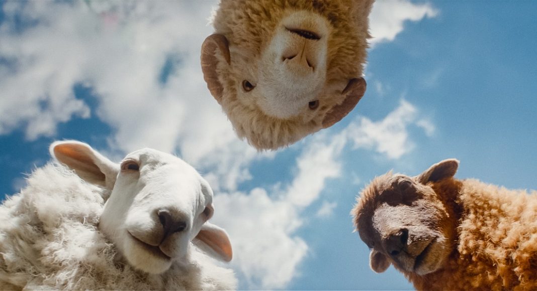 The Sheep Detectives: Plot, cast and release