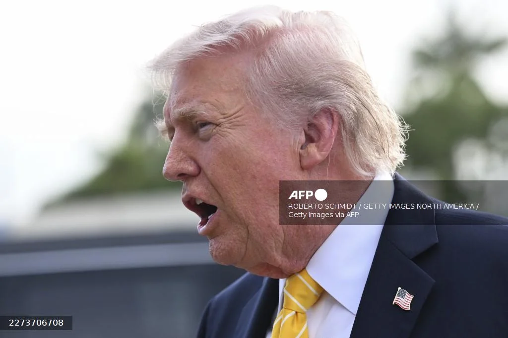 Trump says cutting US troop numbers in Germany 'way down'
