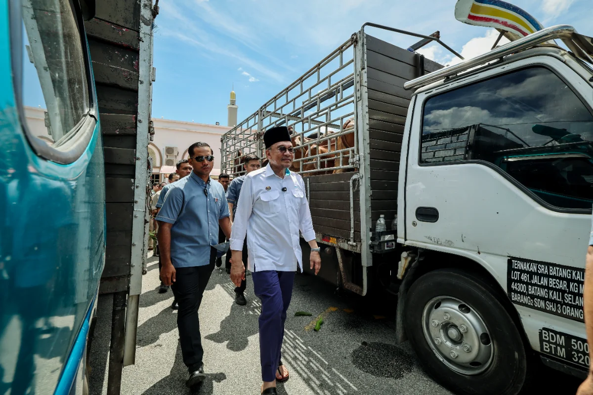 Aidiladha PM Anwar contributes sacrificial cow to NS media practitioners Aidiladha: PM Anwar contributes sacrificial cow to N.S. media practitioners