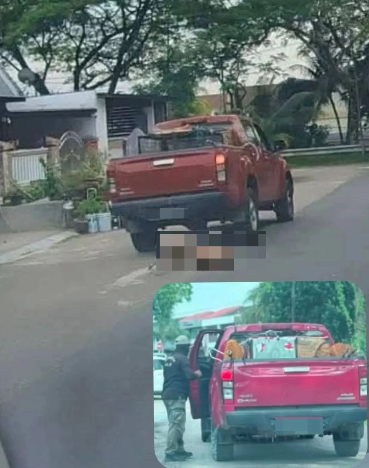 Animal welfare group urges immediate probe into alleged dog cruelty case in Johor Animal welfare group urges immediate probe into alleged dog cruelty case in Johor
