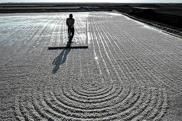 INDIA-CLIMATE-HEALTH No trees, no fans: surviving extreme heat in India's salt pans
