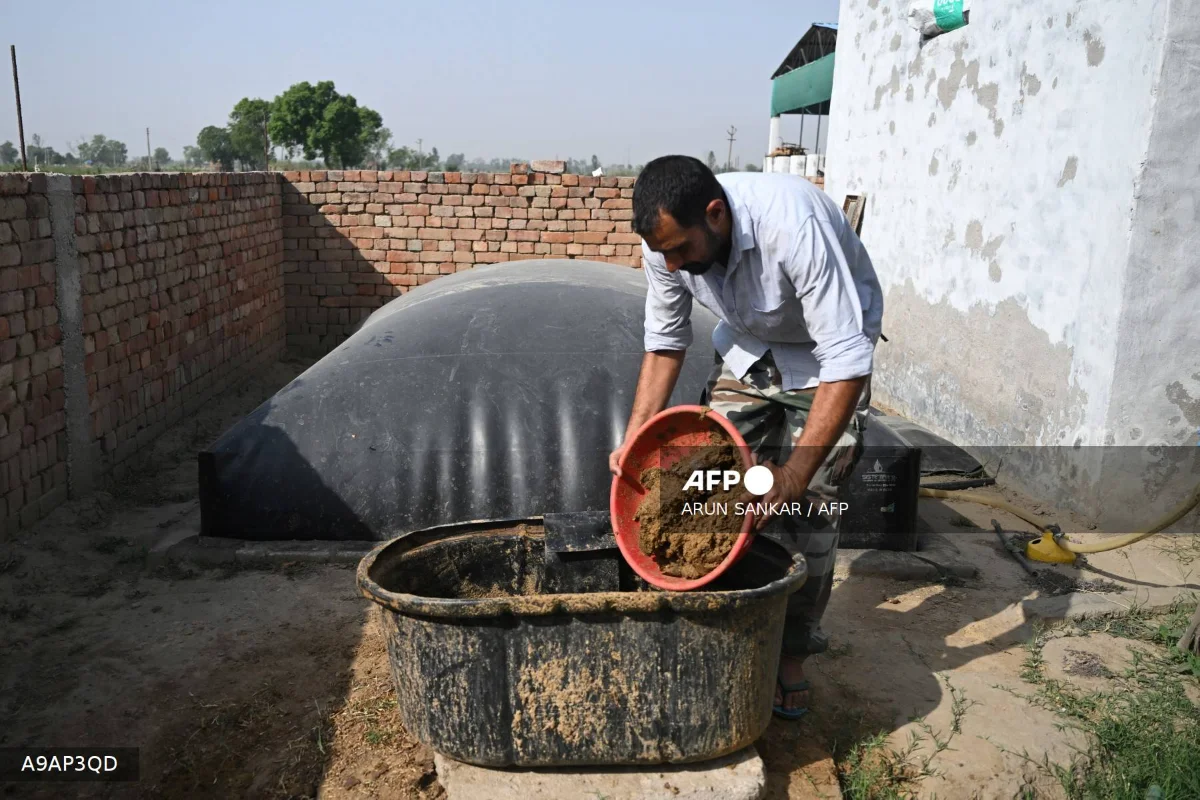 India's cows offer biogas alternative to Mideast energy crunch