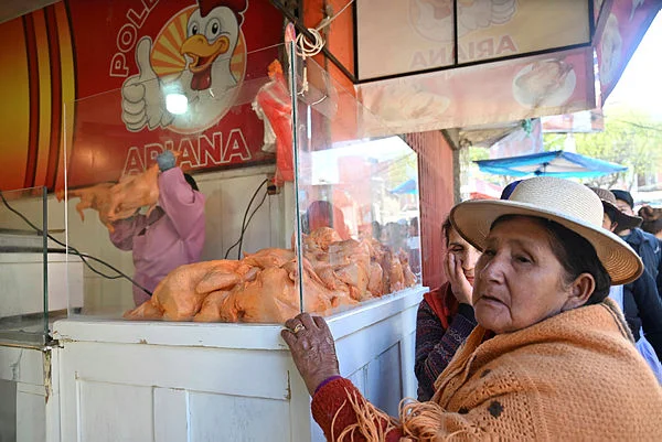 La Paz chicken shortage fuels desperation amid protests La Paz chicken shortage fuels desperation amid protests