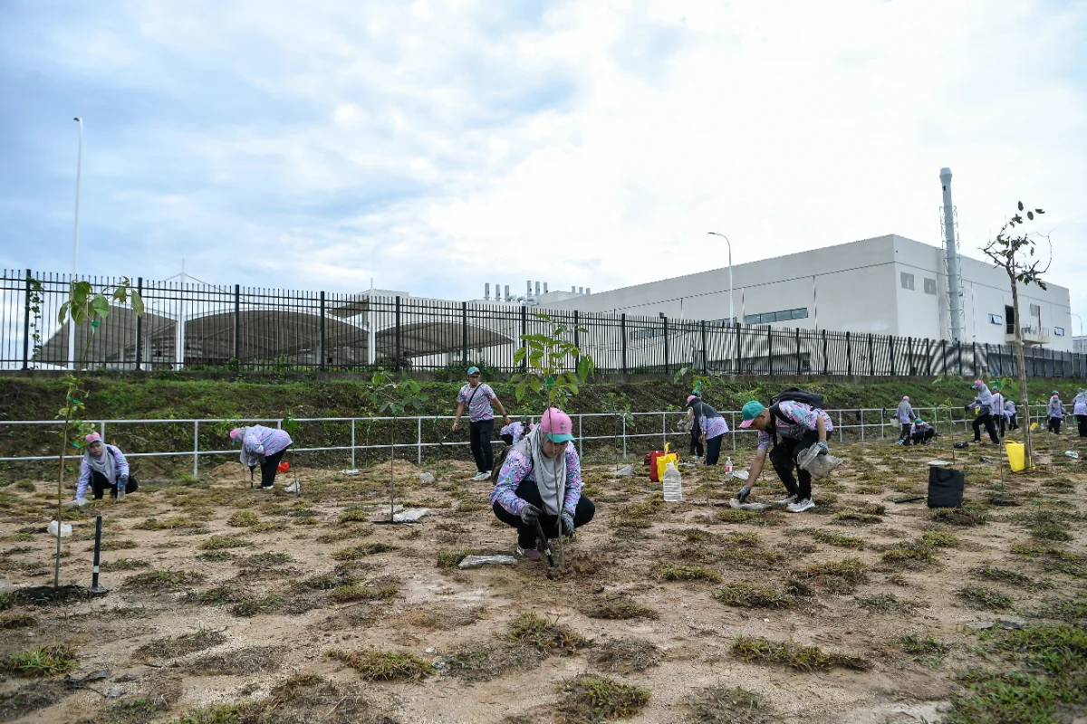 MPKK sets MBR record with 700 trees planted in a minute MPKK sets MBR record with 700 trees planted in a minute
