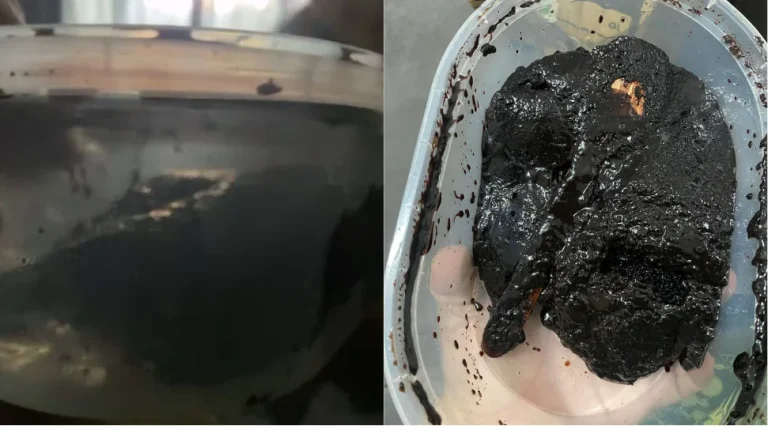 Malaysian woman's chocolate cake ordered online allegedly half-eaten during delivery