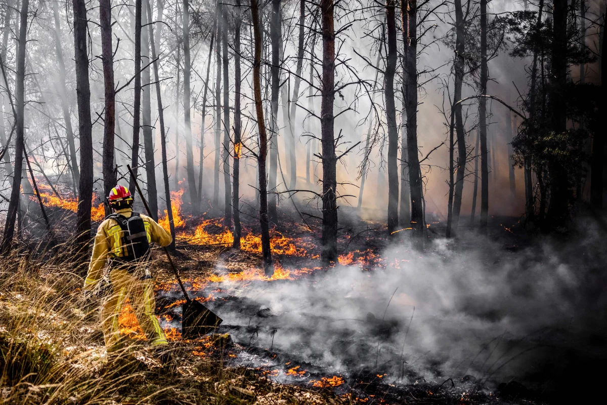 France sends firefighters to help battle blazes in Netherlands
