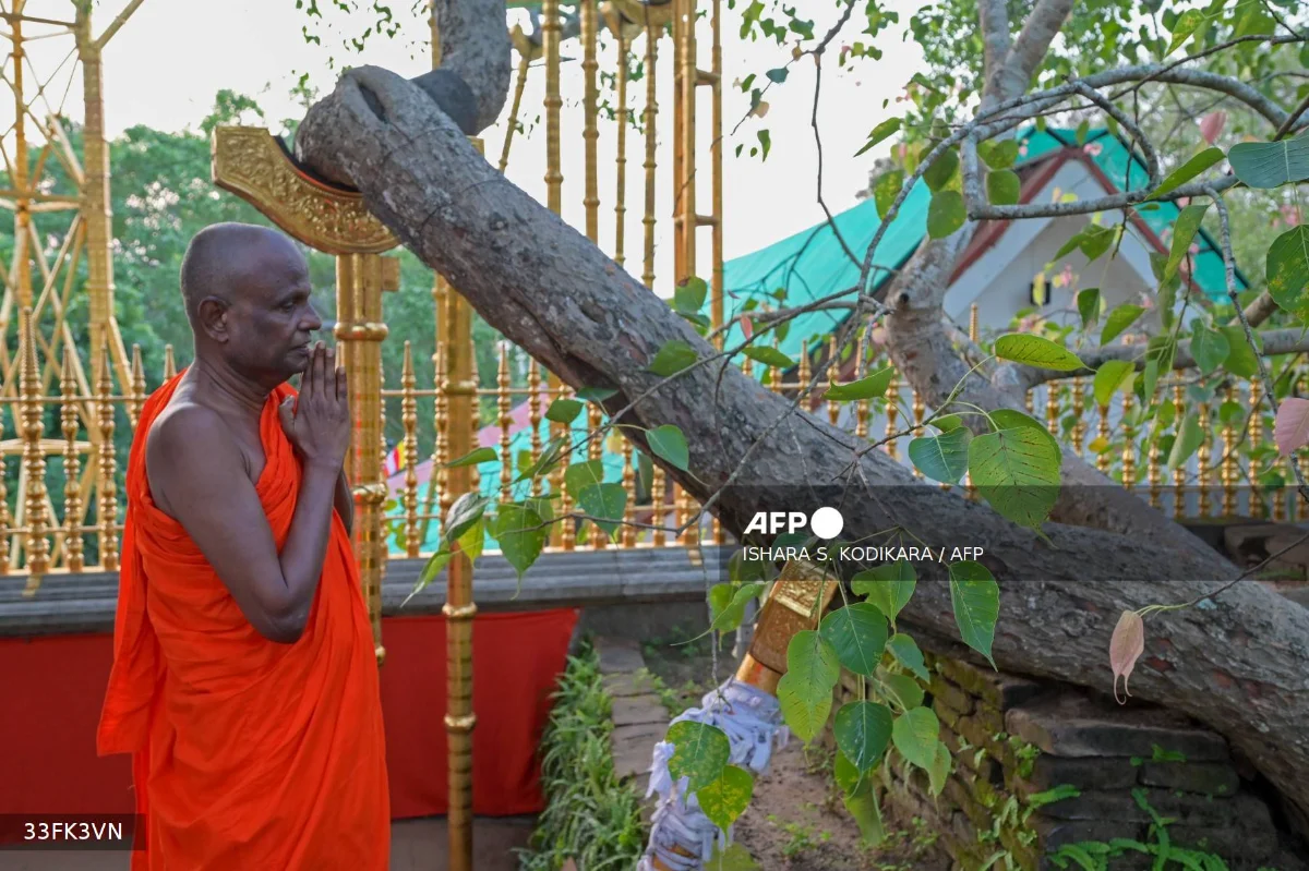 Senior Sri Lankan monk suspended over child sex abuse Senior Sri Lankan monk suspended over child sex abuse