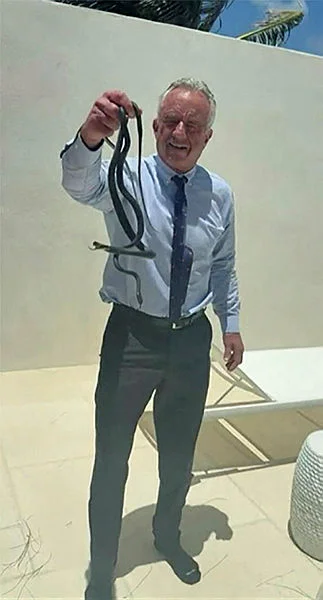 Live snakes, dead bears and brain worms: RFK Jr's wild animal antics