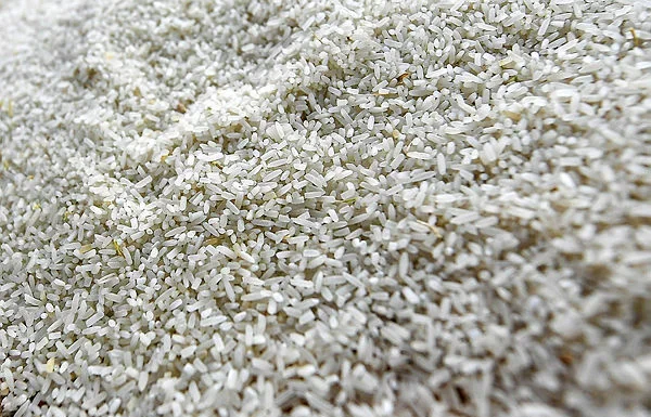 Mada explains late rice planting while emphasising weather factors, water lack