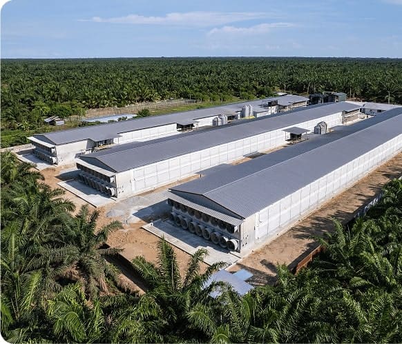 Farmiera reports RM167.20m revenue for Q1 FY26, declares maiden dividend of 0.50 sen