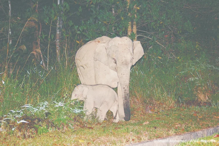 A mother’s love beyond measure