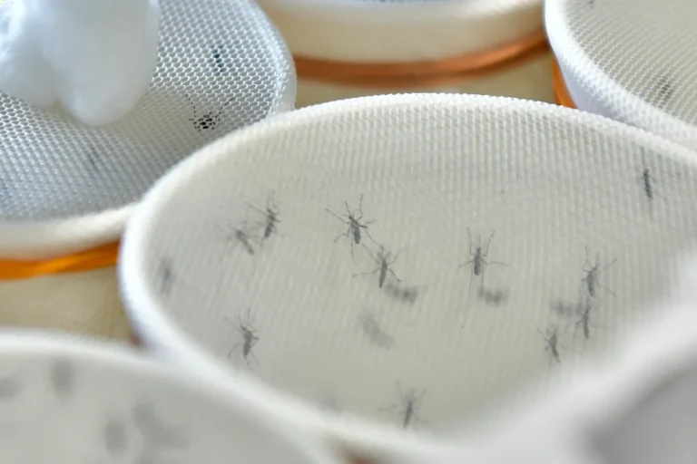 Singapore's weekly dengue cases hit 2026 high at 119