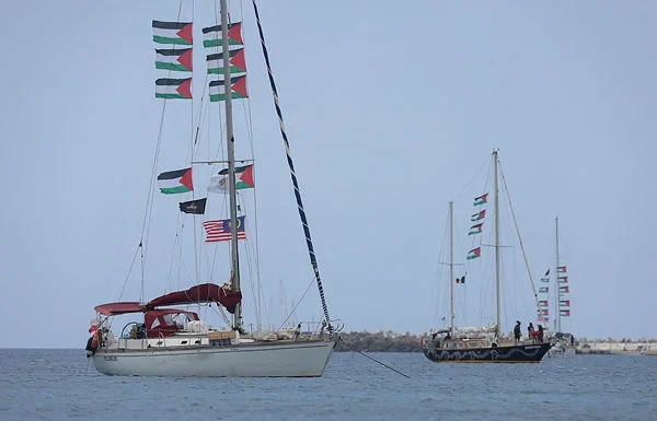 Palestine and rise of global solidarity