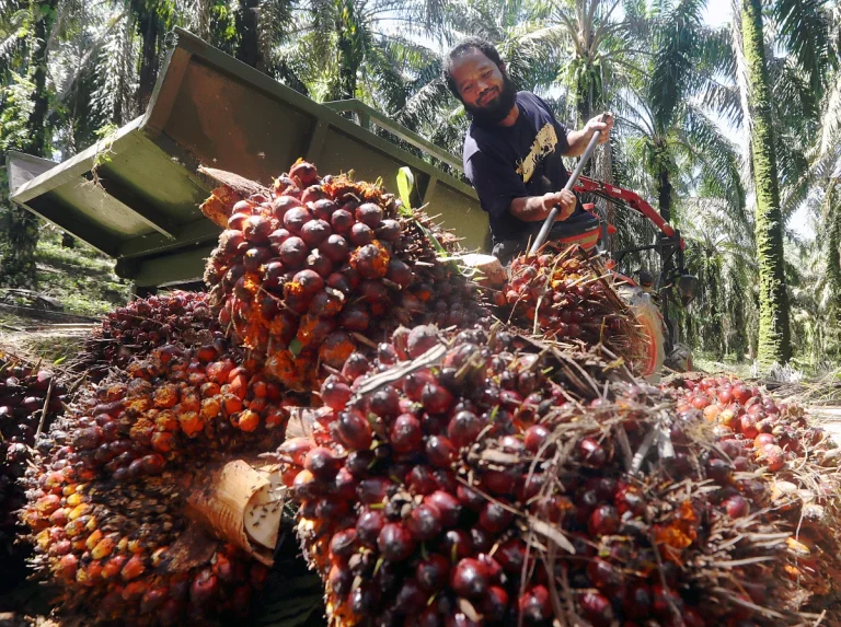 Malaysia begins B15 biodiesel rollout today