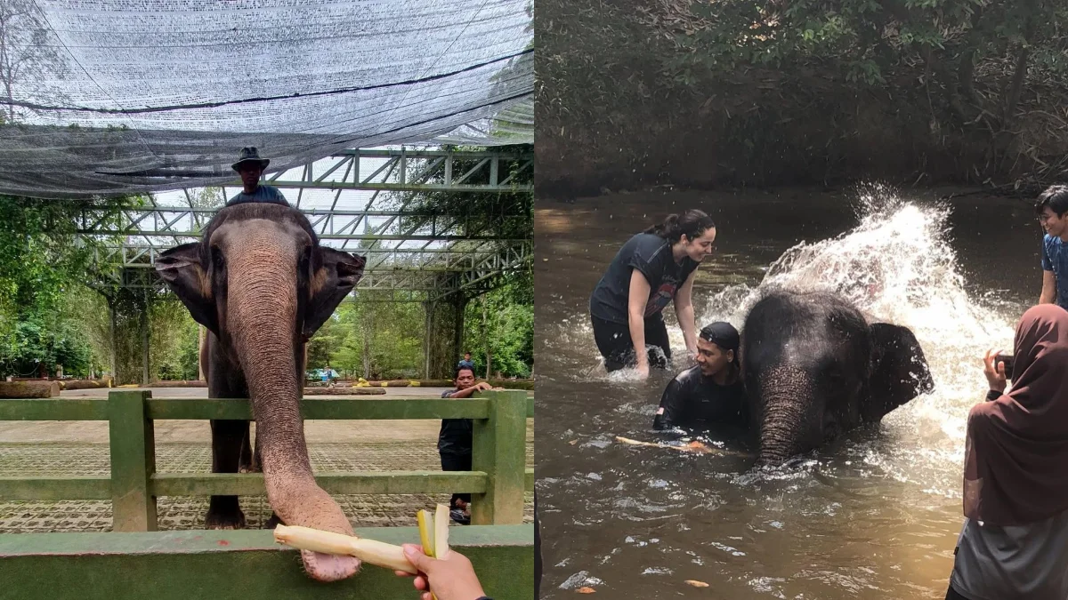 7 hidden nature escapes in Malaysia worth the journey