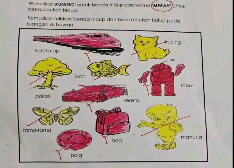 Child gets science question right, but allegedly loses marks over shade of red