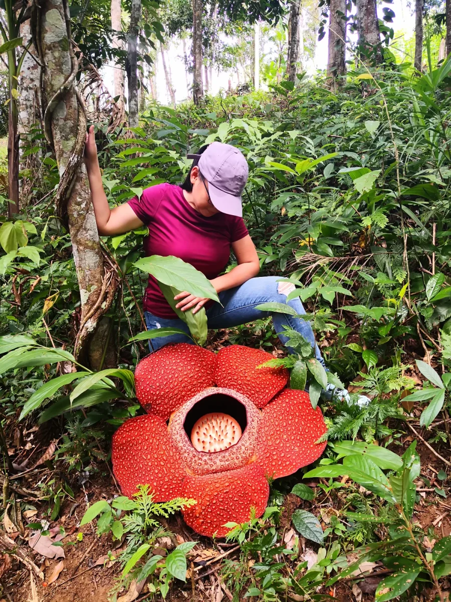 8 quirky national fruits, animals worldwide