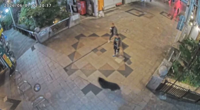 Schools in Tokyo suburb to get bear sprays after attacks