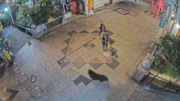 Schools in Tokyo suburb to get bear sprays after attacks Schools in Tokyo suburb to get bear sprays after attacks