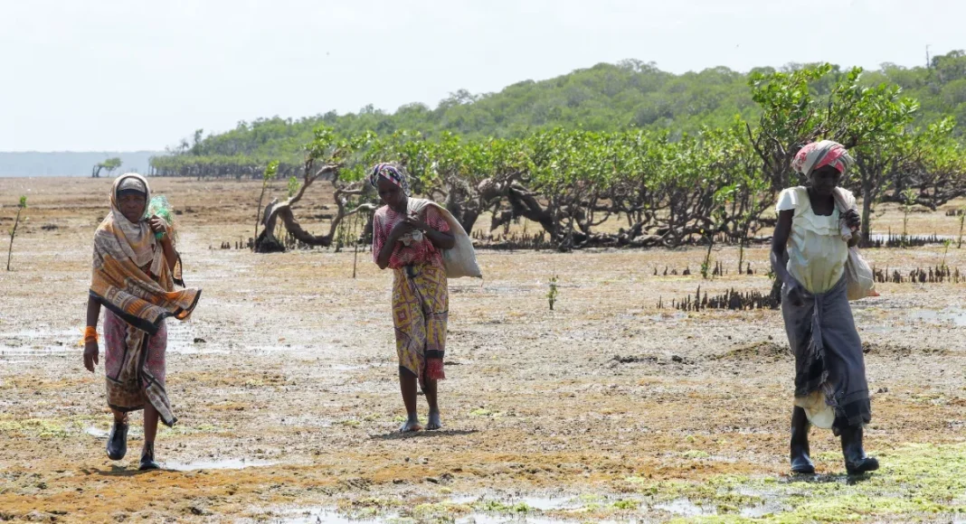 Extreme weather in Africa hits 13 million in 2025