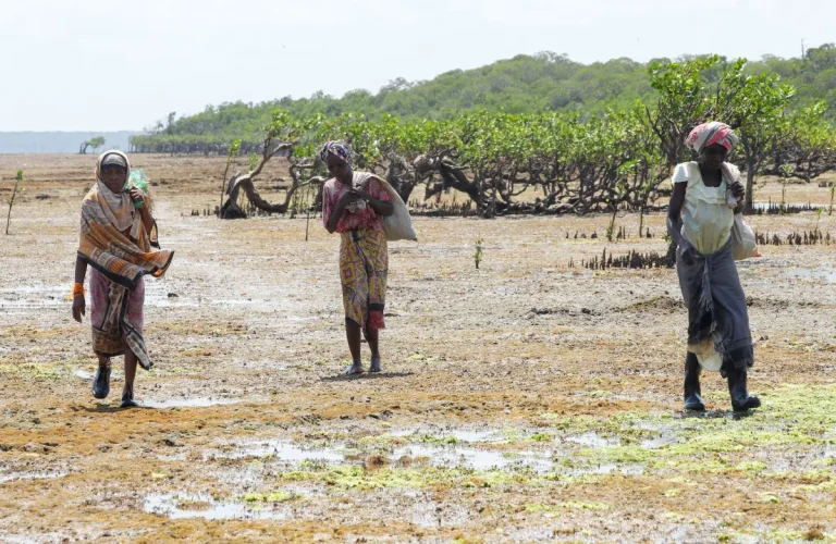 Extreme weather in Africa hits 13 million in 2025