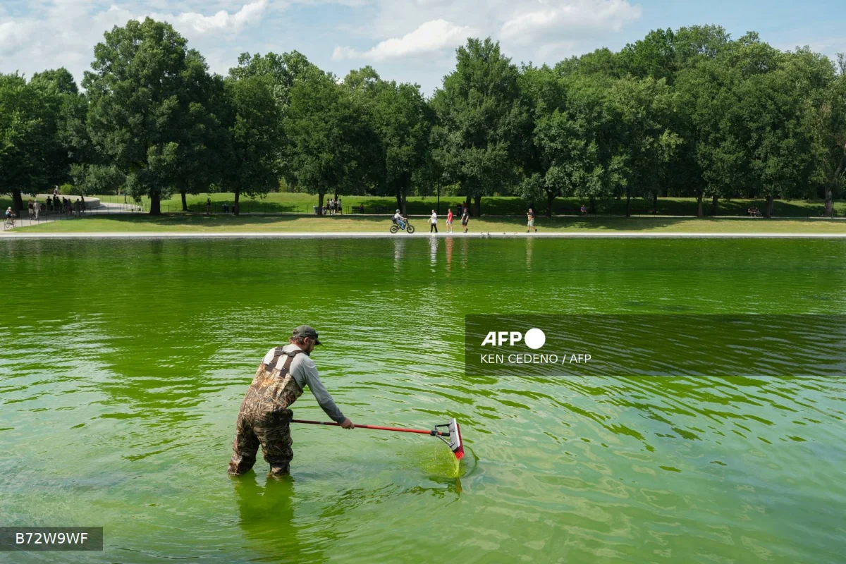 Algae turns Trumps reflecting pool green Algae turns Trump’s reflecting pool green
