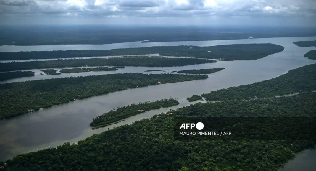 Amazon water levels recover after two years of drought