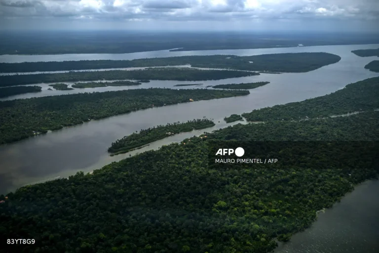 Amazon water levels recover after two years of drought