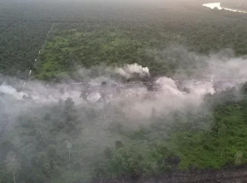 Wildfire burns through 20 hectares of oil palm plantation in Saratok