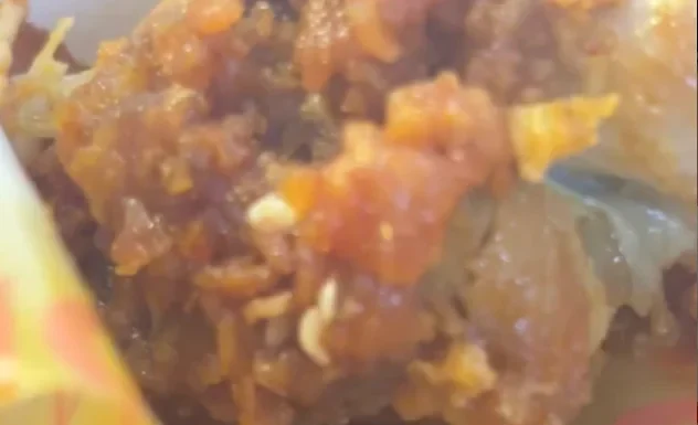 Dead maggots allegedly found in fried chicken bought in airport, netizens disgusted