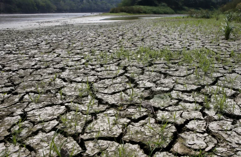 Thailand builds climate database to brace for prolonged El Nino