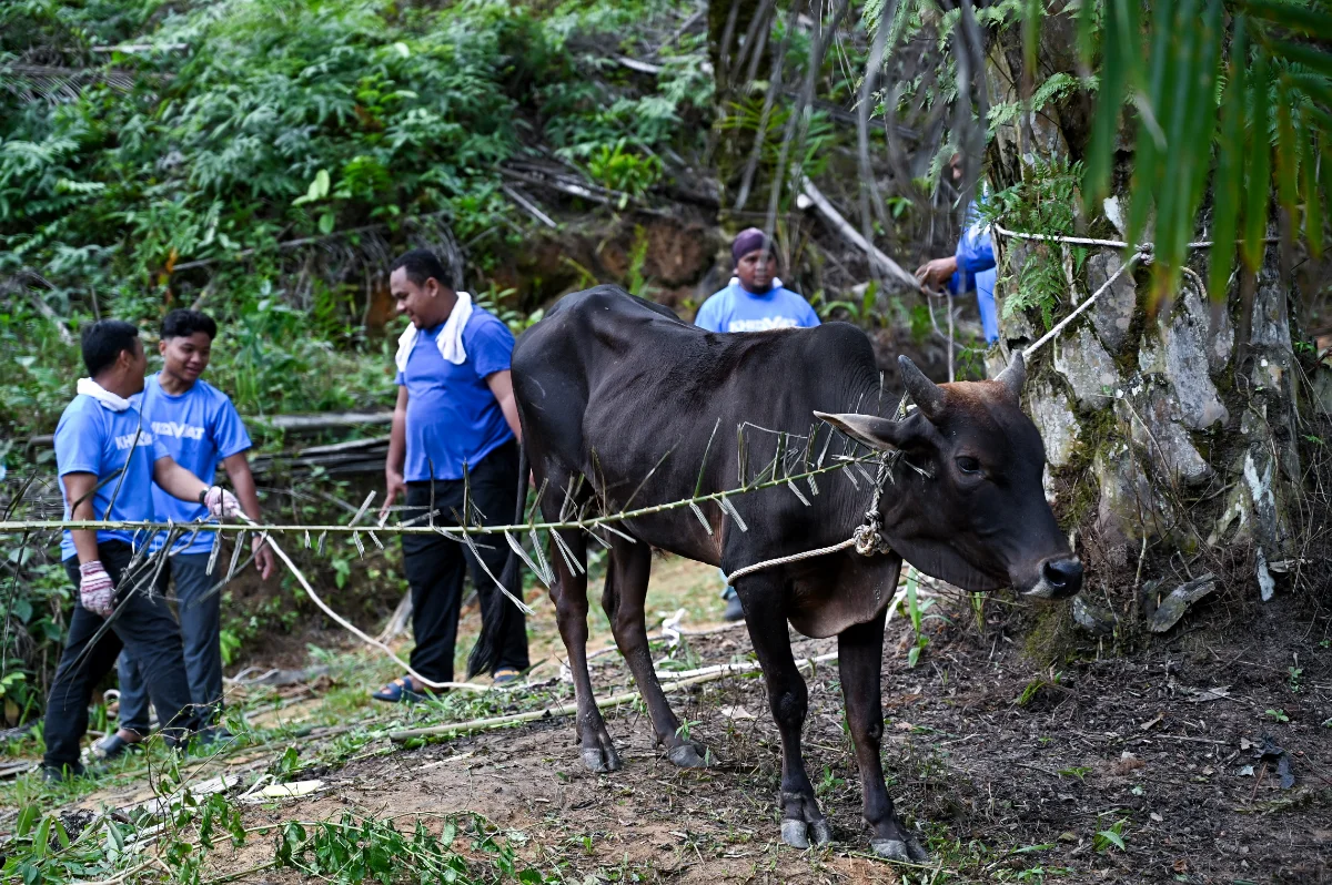 Nearly one million tourists visit Terengganu for Aidiladha