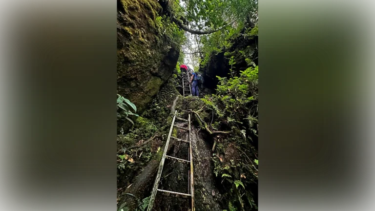 Perak may tighten hiking rules after recent cases