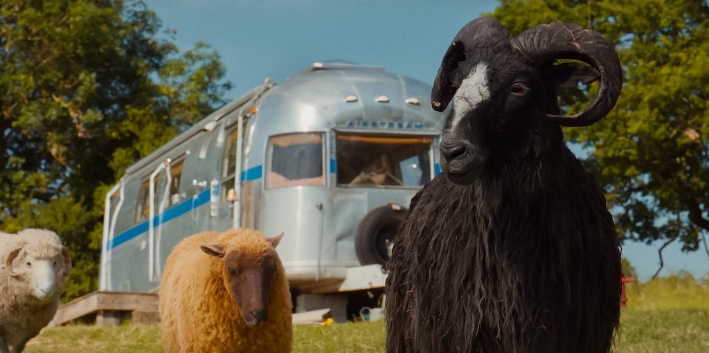 From left: Lily’s (Louis-Dreyfus) optimism and naivety play well against Sebastian’s (Cranston) colder demeanour as they try to solve George’s murder.