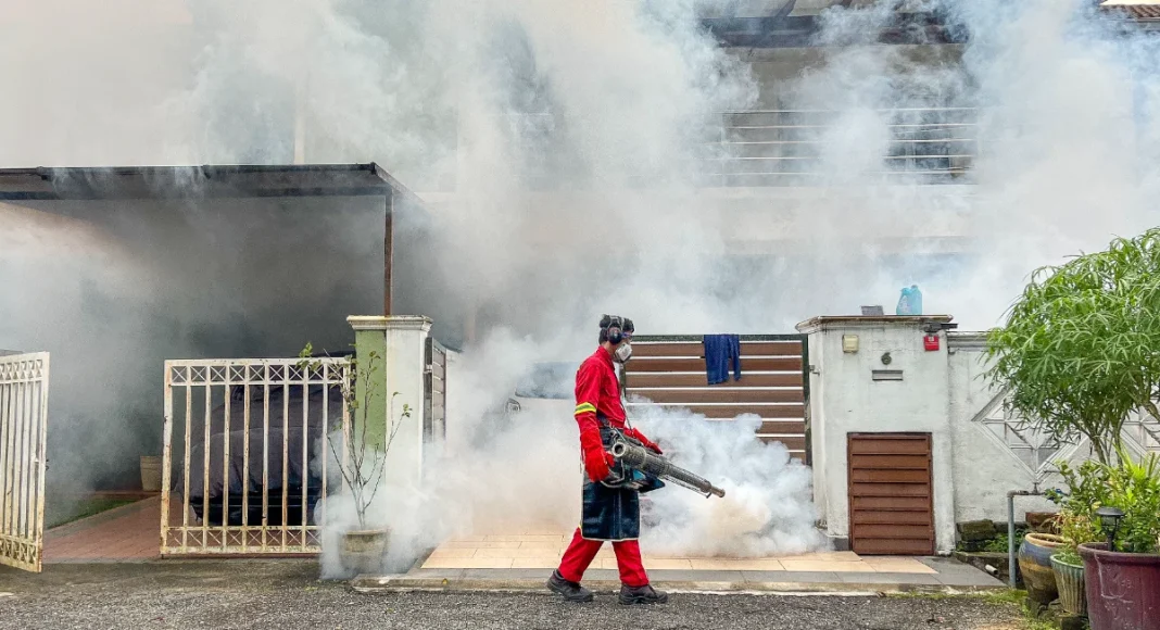 Nationwide dengue cases up 27 per cent